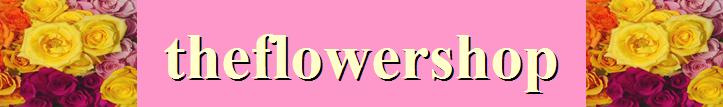 theflowershop online roses valentine flowers